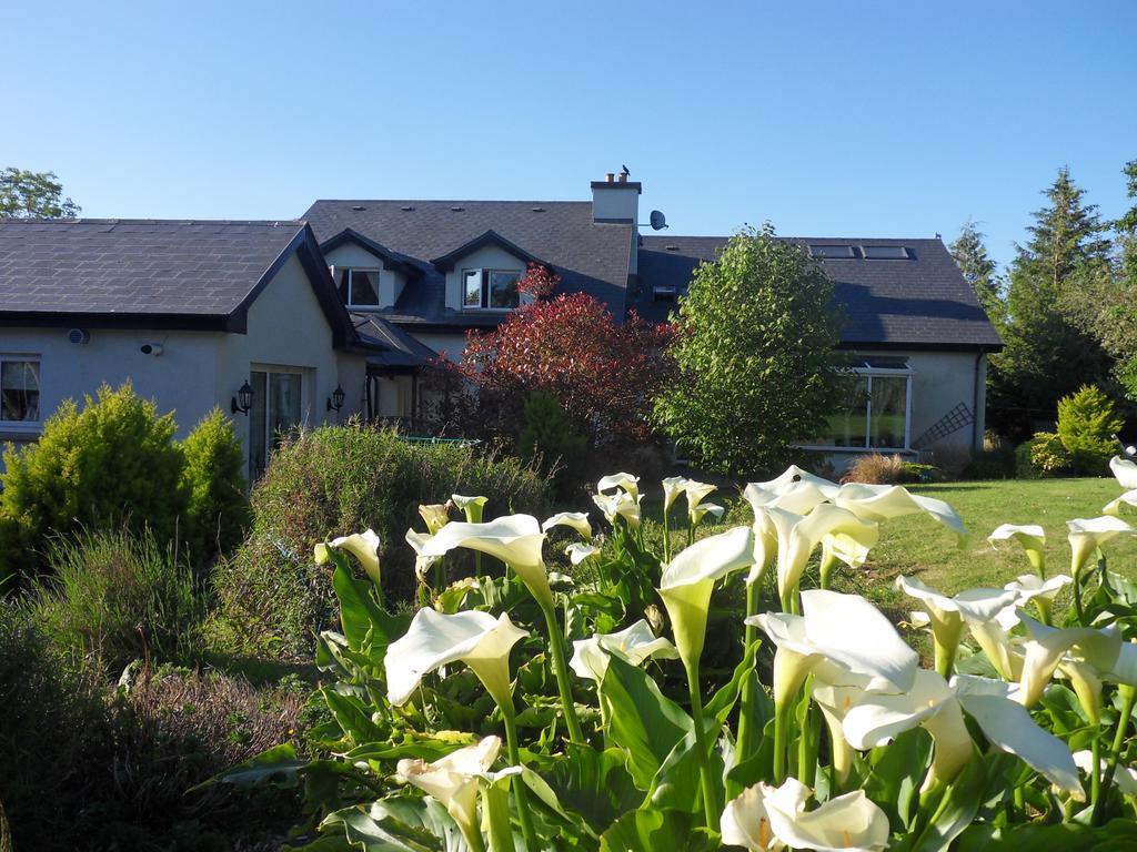 Ethan House Holiday Suites Killarney Exteriér fotografie
