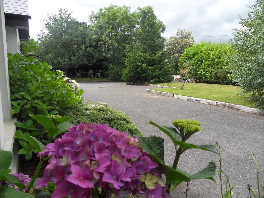 Ethan House Holiday Suites Killarney Exteriér fotografie